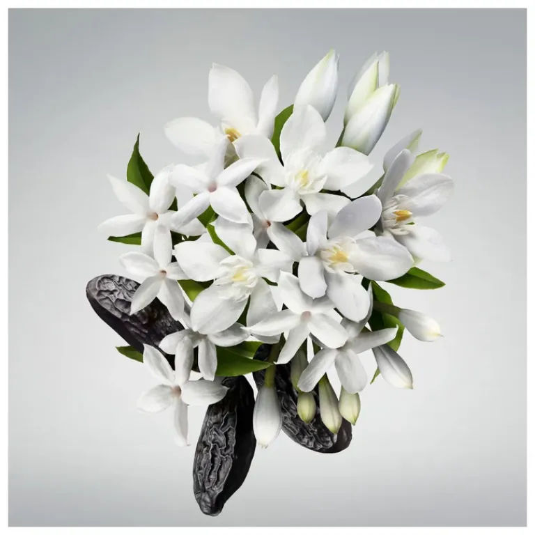 Carolina Herrera Dames Bad-En Doucheproducten|Good Girl Douchegel