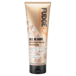 Fudge Shampoo|All Blonde Colour Lock Shampoo
