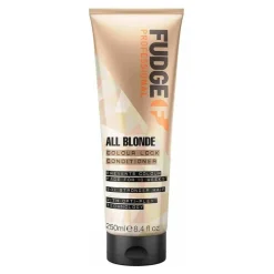 Fudge Conditioner|All Blonde Colour Lock Conditioner