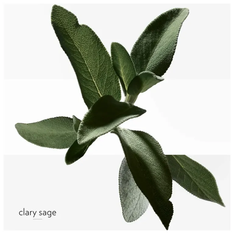 Hermès Heren Bodyproducten|Dames Bodyproducten|H24 Deodorant Stick