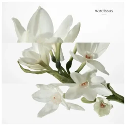 Hermès Heren Bodyproducten|Dames Bodyproducten|H24 Deodorant Stick