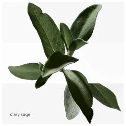 Hermès Heren Bodyproducten|H24 Spray Deodorant