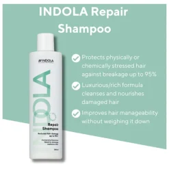 Indola Shampoo|Care & Style Repair Shampoo