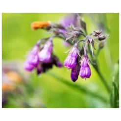 Kiehl's Gezichtsreiniging|Cucumber Herbal Toner